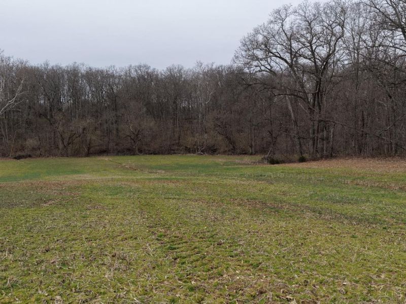 8691 Luck Street, Pleasant Plain, OH 45162 Photo 9