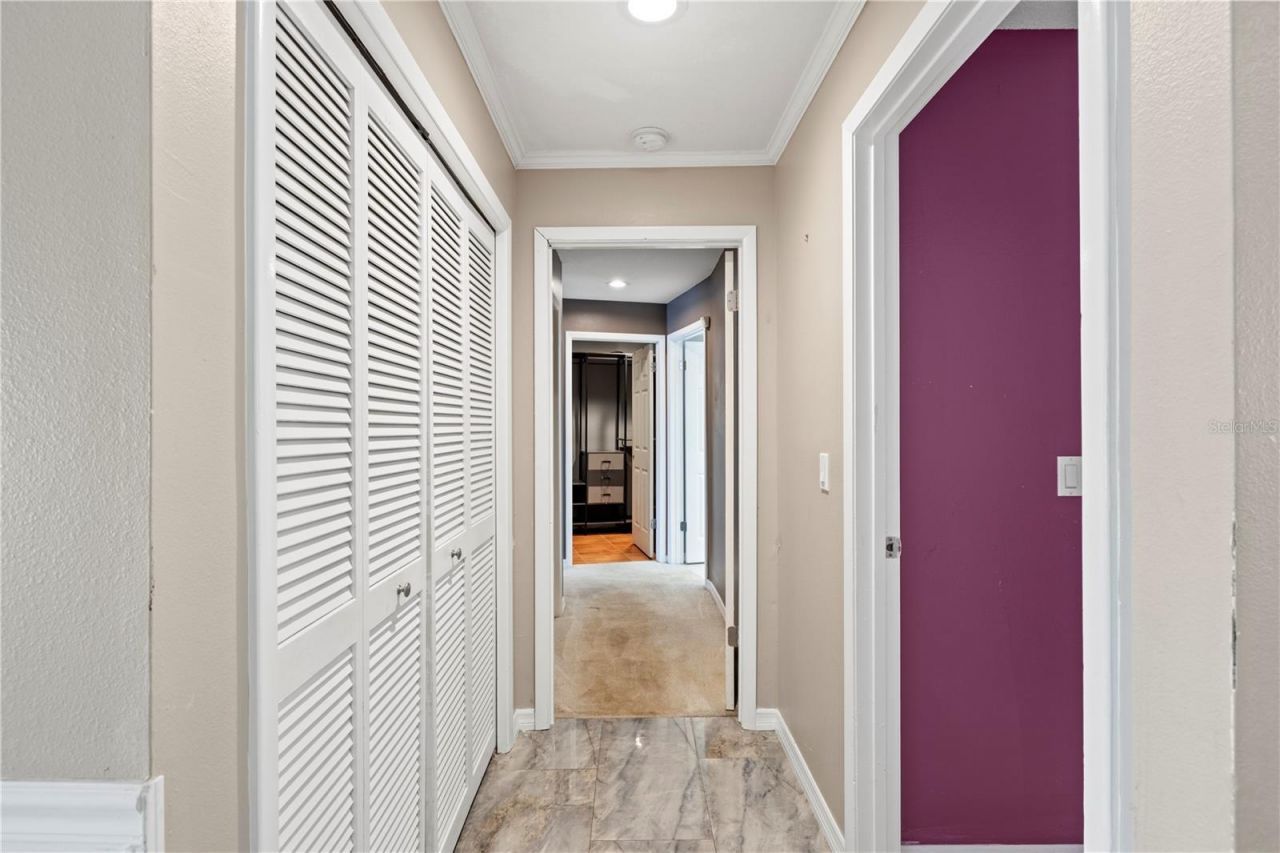 14947 Lake Forest Drive, Lutz, FL 33559 Photo