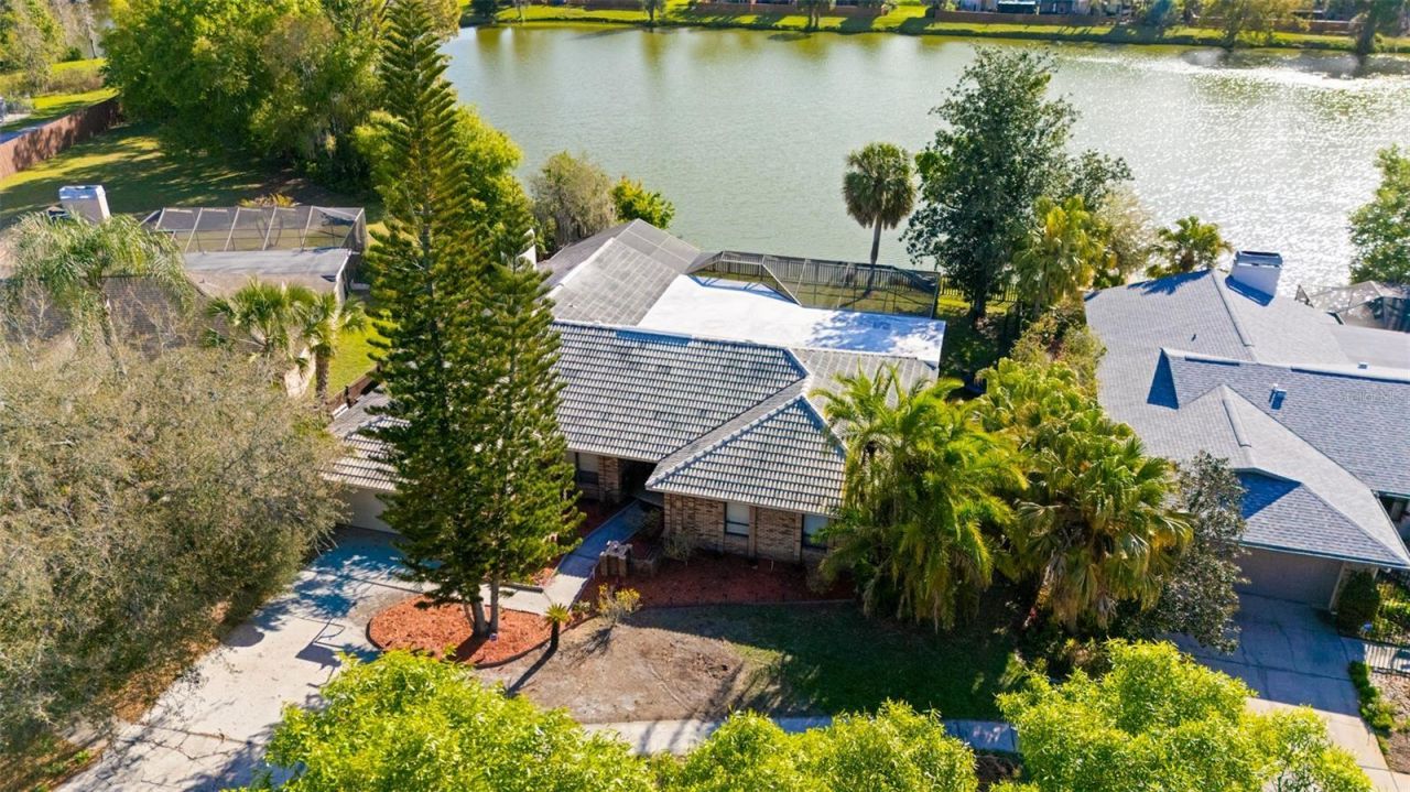 14947 Lake Forest Drive, Lutz, FL 33559 Photo