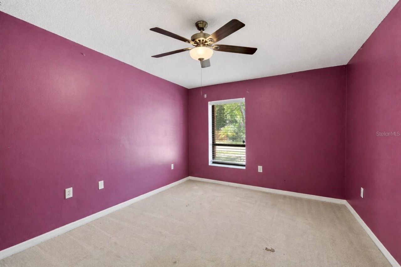 14947 Lake Forest Drive, Lutz, FL 33559 Photo