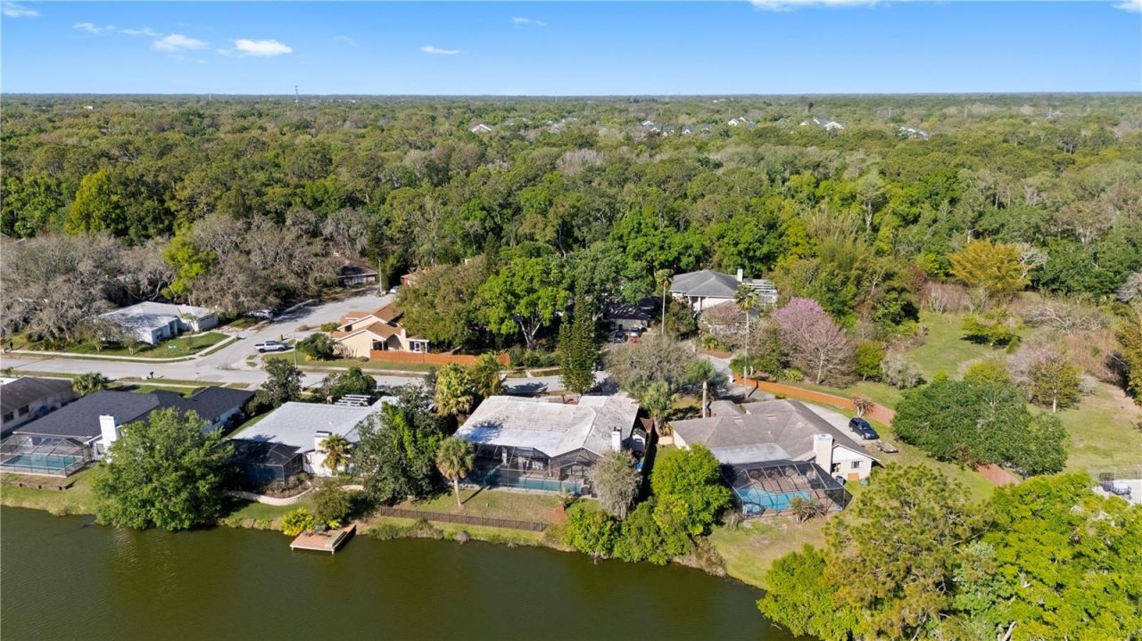 14947 Lake Forest Drive, Lutz, FL 33559 Photo