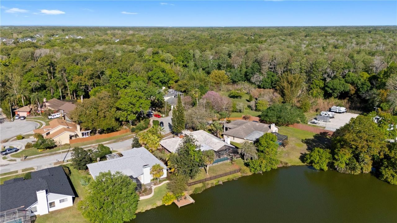 14947 Lake Forest Drive, Lutz, FL 33559 Photo