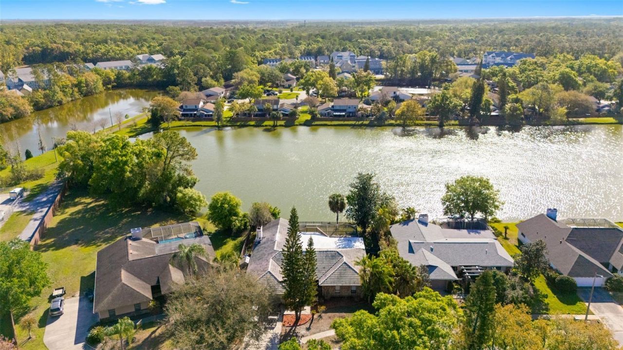 14947 Lake Forest Drive, Lutz, FL 33559 Photo