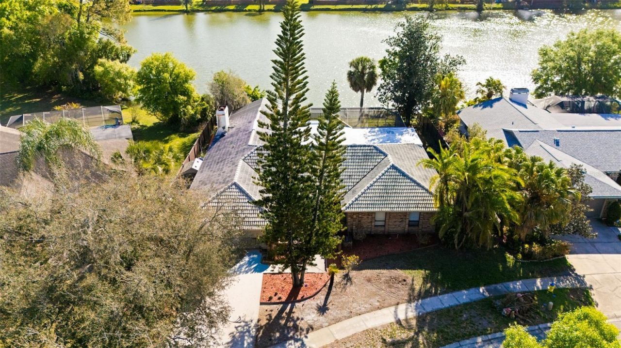 14947 Lake Forest Drive, Lutz, FL 33559 Photo