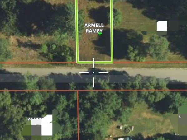 Elm Street, Houghton Lake, MI 48629