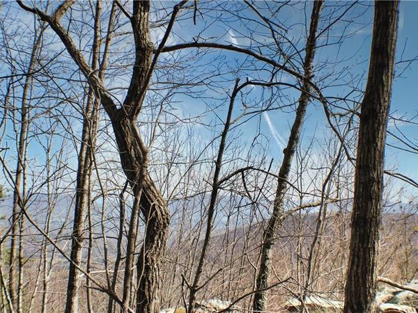 0 157 Highway, Rising Fawn, GA 30738