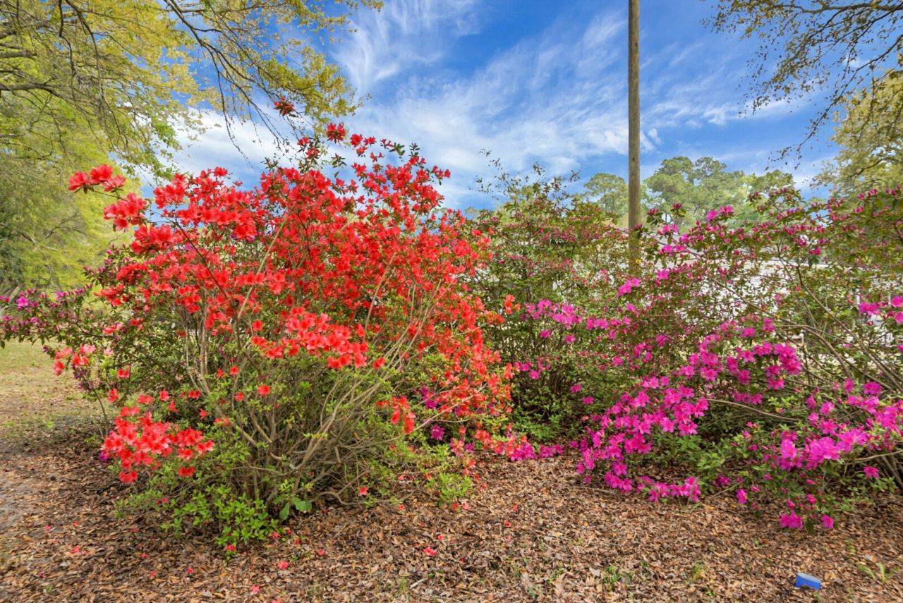 207 Trivers Drive Photo 50