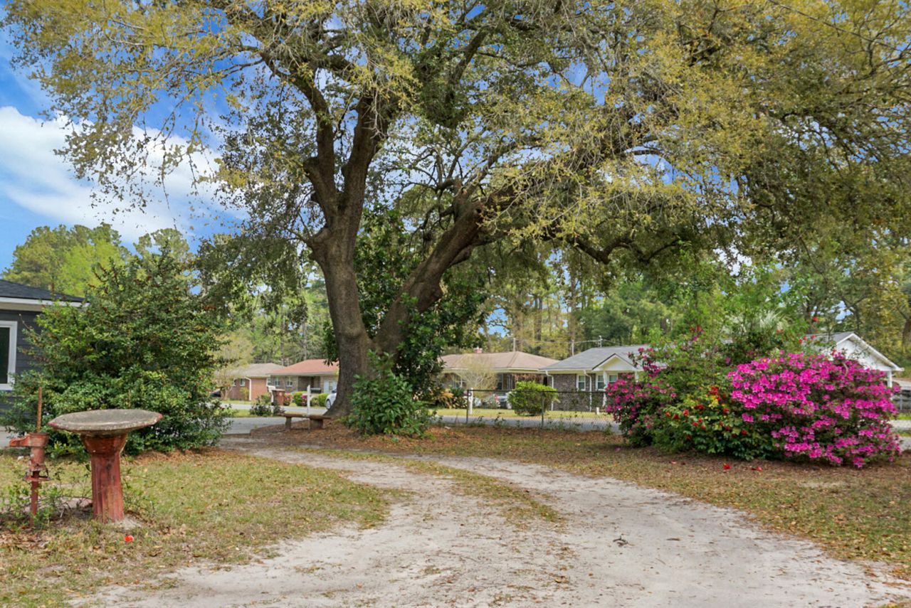 207 Trivers Drive Photo 54