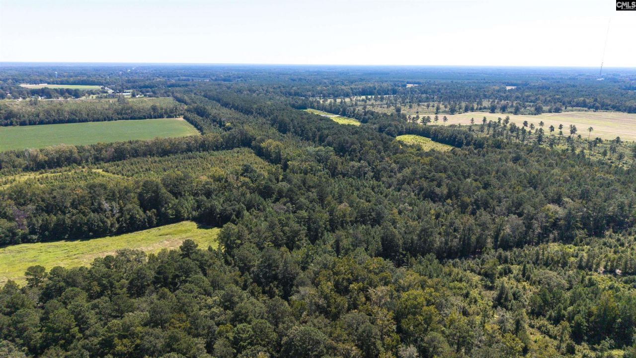 330 Pinecrest Drive Drive  Photo 10