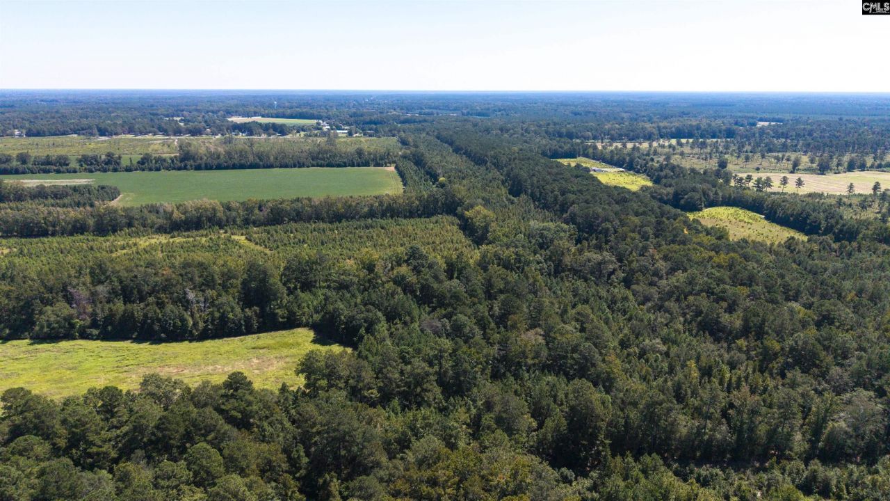 330 Pinecrest Drive Drive  Photo 11