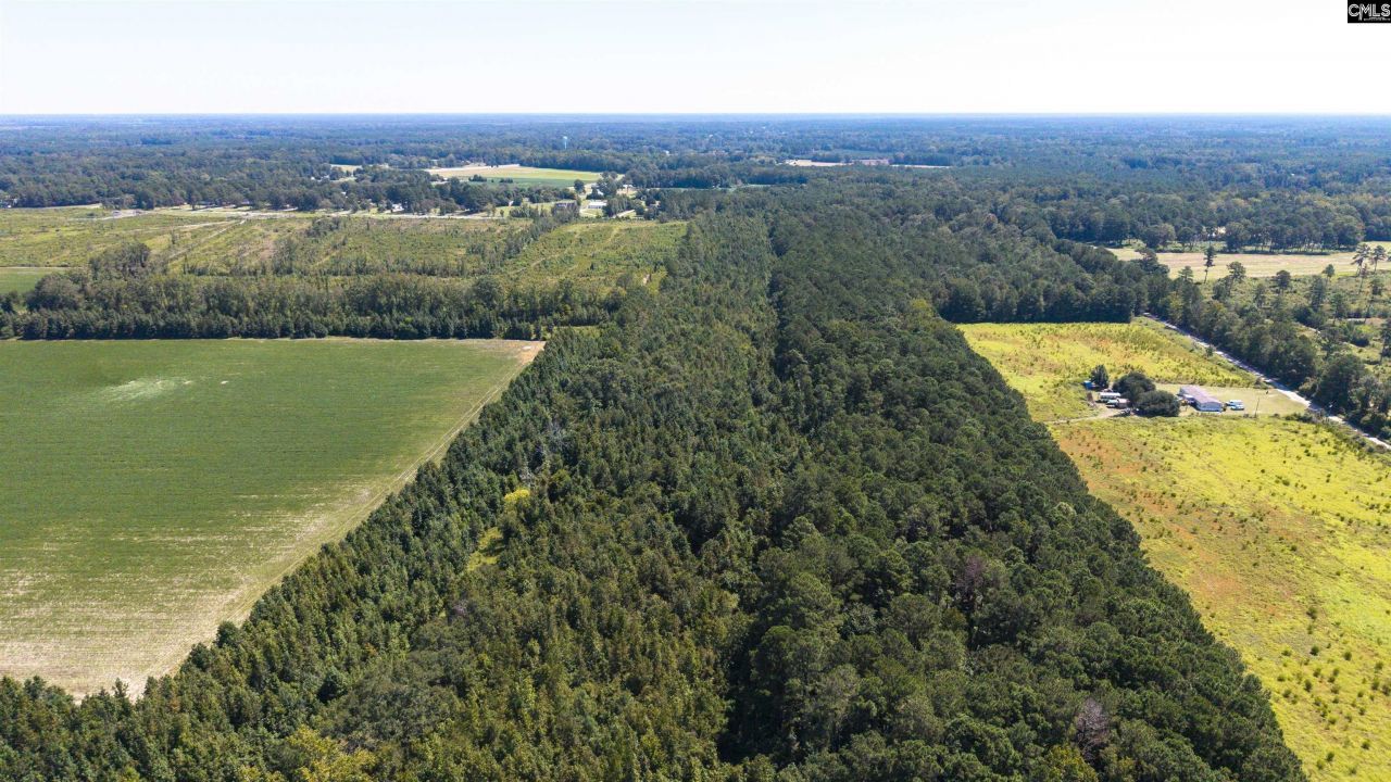 330 Pinecrest Drive Drive  Photo 12