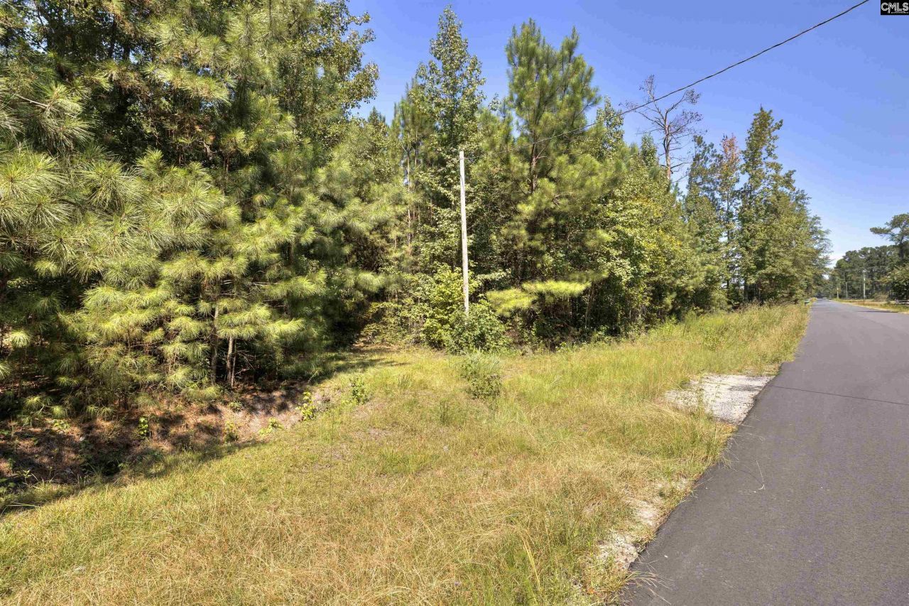 330 Pinecrest Drive Drive  Photo 21