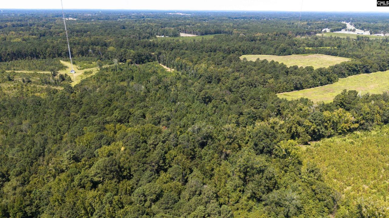 330 Pinecrest Drive Drive  Photo 7