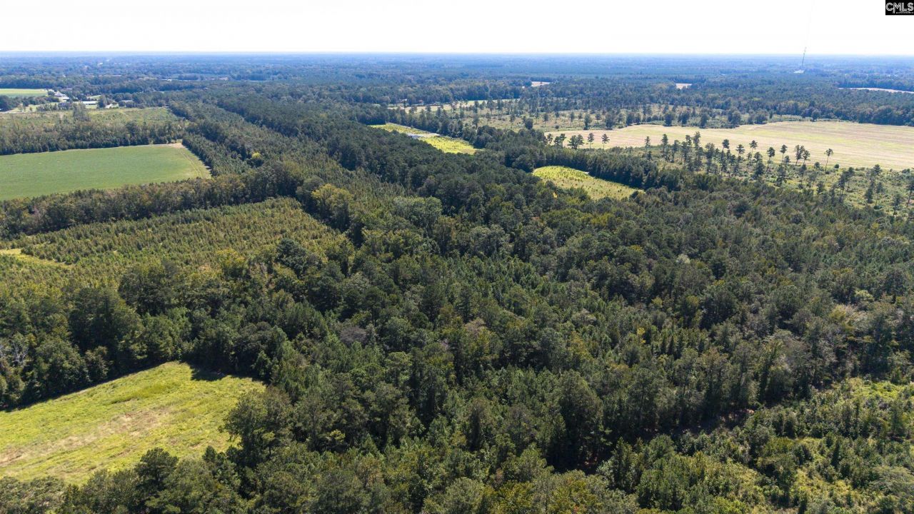 330 Pinecrest Drive Drive  Photo 9