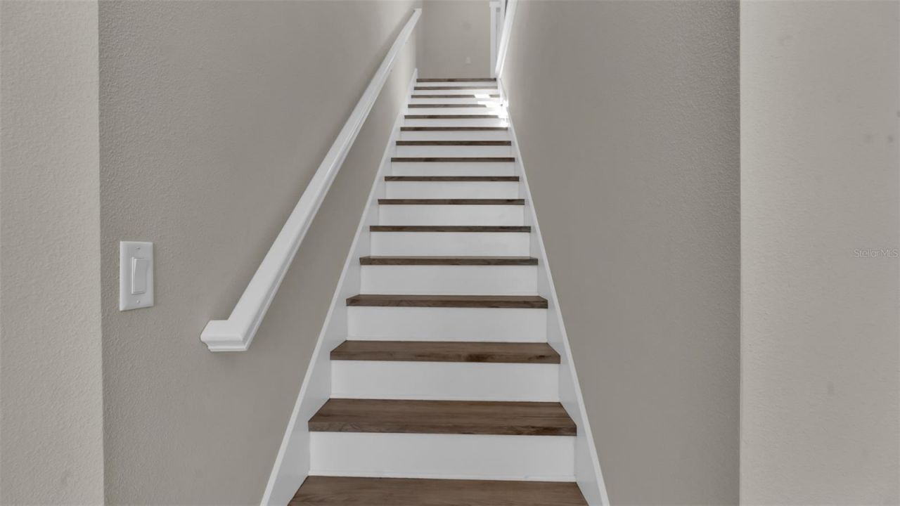 1237 Savona Drive Ne, Saint Petersburg, FL 33702 Photo