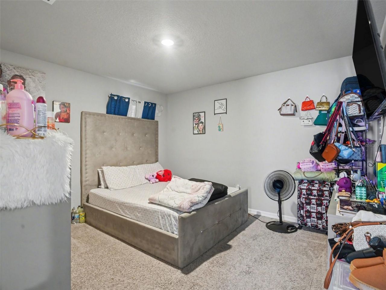 7144 Boggy Creek Place , Parrish, FL 34219 Photo