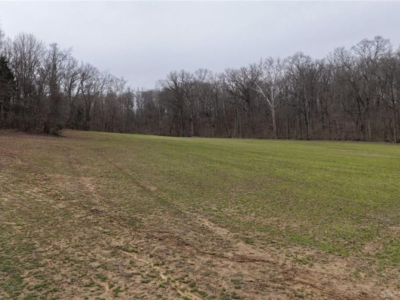 8691 Luck Street, Pleasant Plain, OH 45162 Photo 19