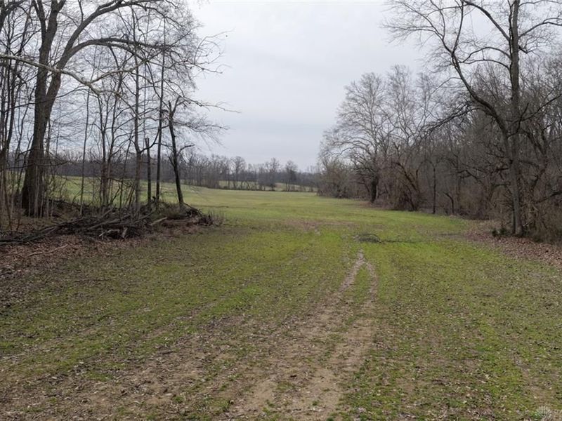 8691 Luck Street, Pleasant Plain, OH 45162 Photo 26