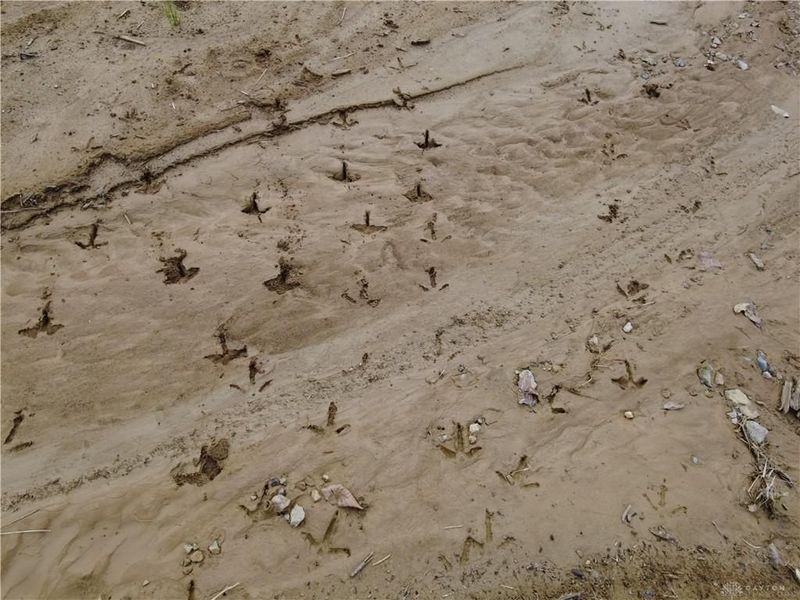 8691 Luck Street, Pleasant Plain, OH 45162 Photo 5