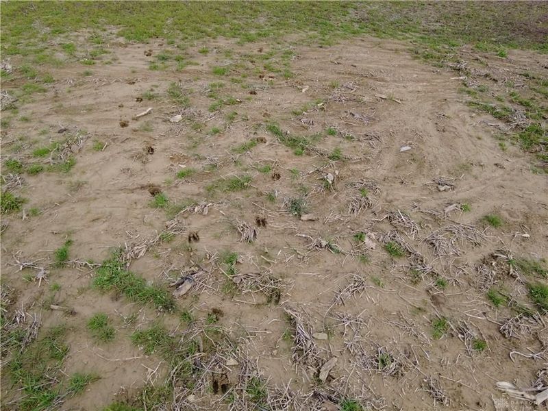 8691 Luck Street, Pleasant Plain, OH 45162 Photo 6