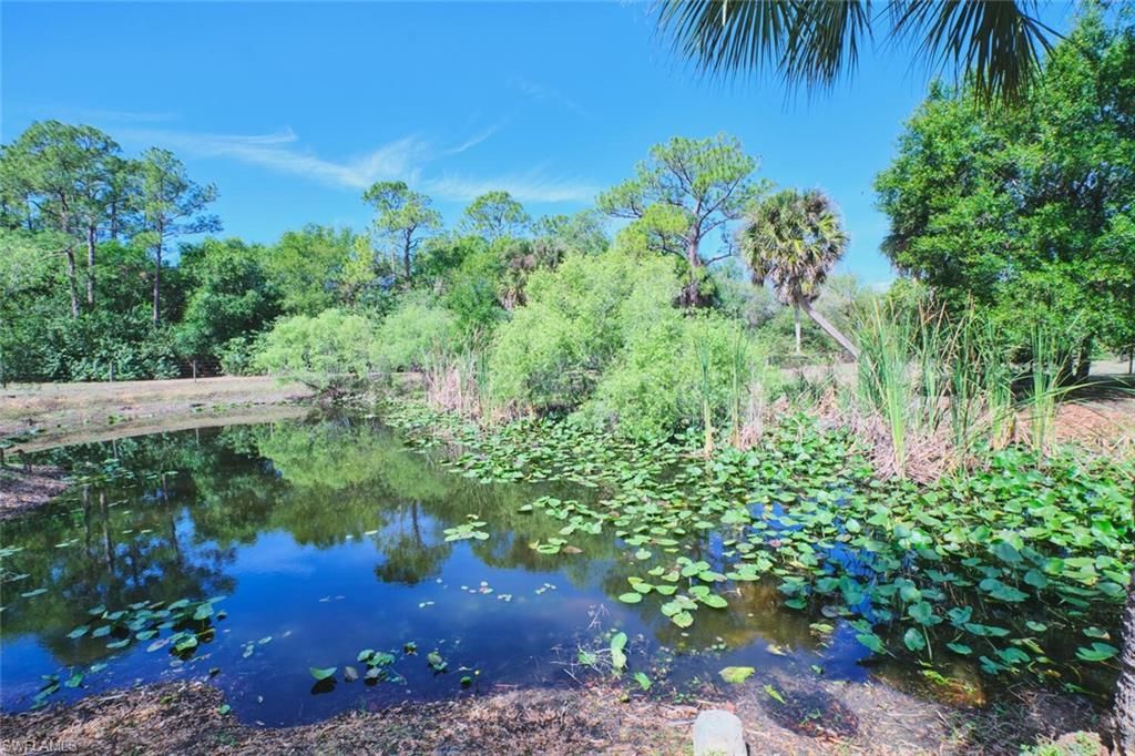 710 & 740 Evans Rd , Labelle, FL 33935 Photo