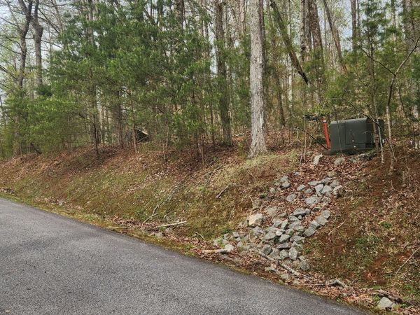 0 Yellow Trillium (Lot 13), Clayton, GA 30525