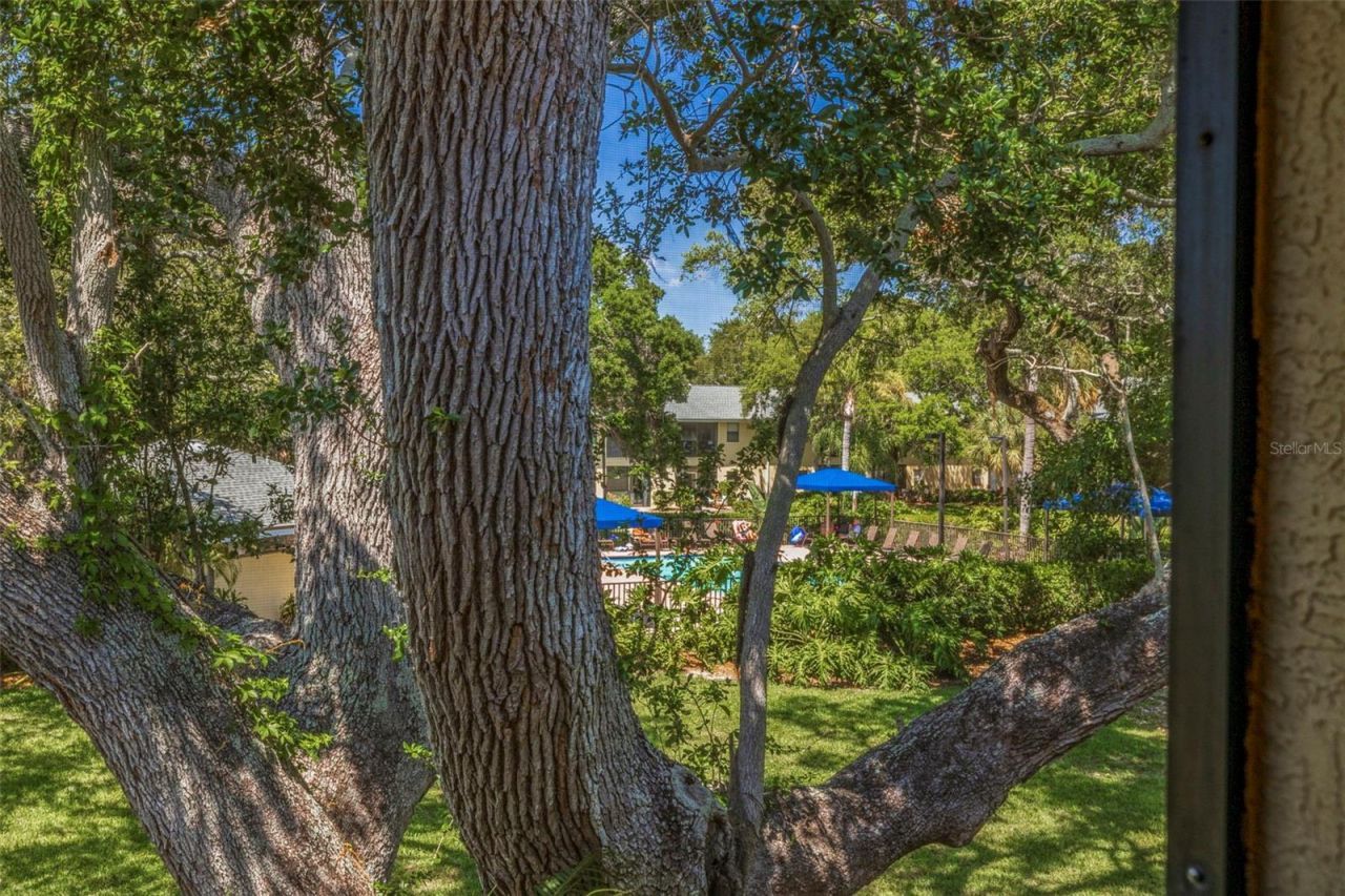 3001 58th Avenue S, Unit 1014, Saint Petersburg, FL 33712 Photo