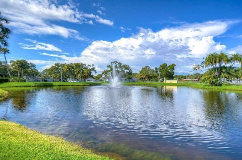 3001 58th Avenue S, Unit 1014, Saint Petersburg, FL 33712 Photo