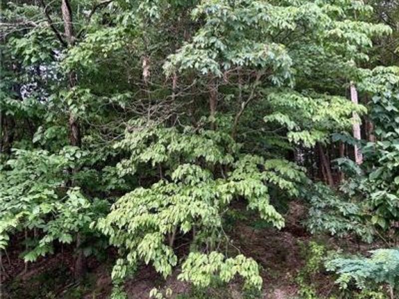 91 Oneida Trail , Malvern, OH 44644 Photo 2