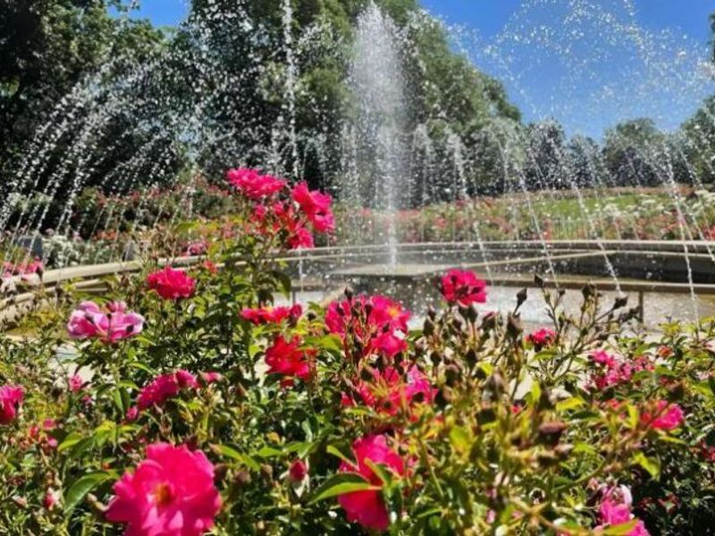 139 Aldrich Road , Columbus, OH 43214 Photo 45