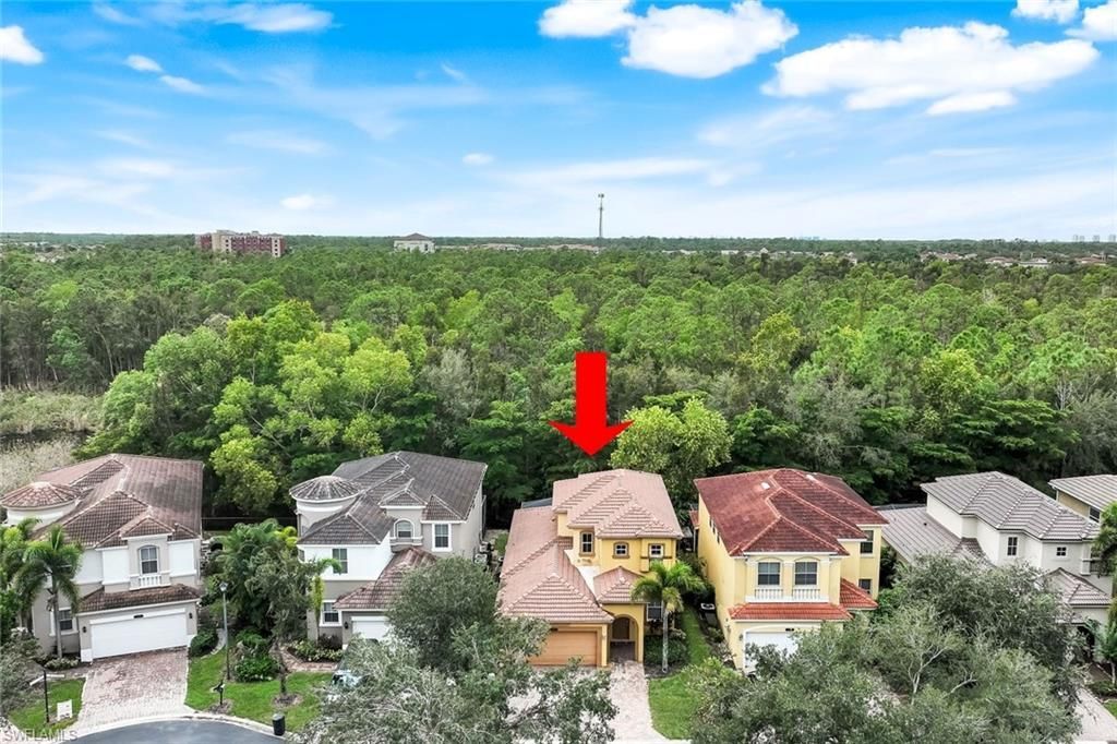 10253 S Silver Palm Dr , Estero, FL 33928 Photo