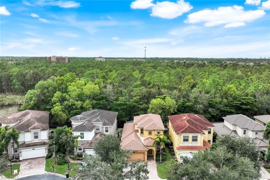 10253 S Silver Palm Dr , Estero, FL 33928 Photo