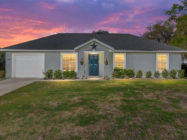 13390 SE 105TH TERRACE , OCKLAWAHA, FL 32179