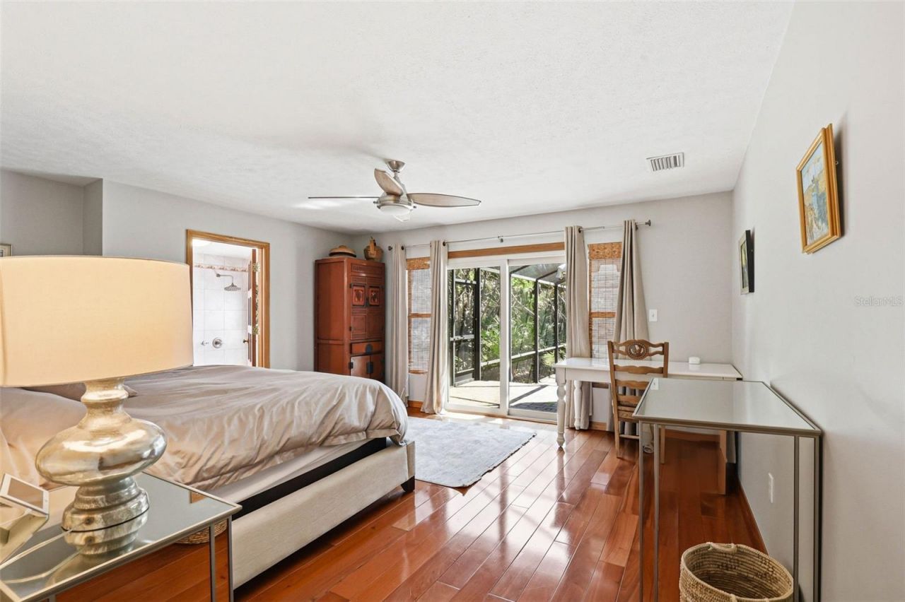 12526 Twin Branch Acres Road, Tampa, FL 33626 Photo