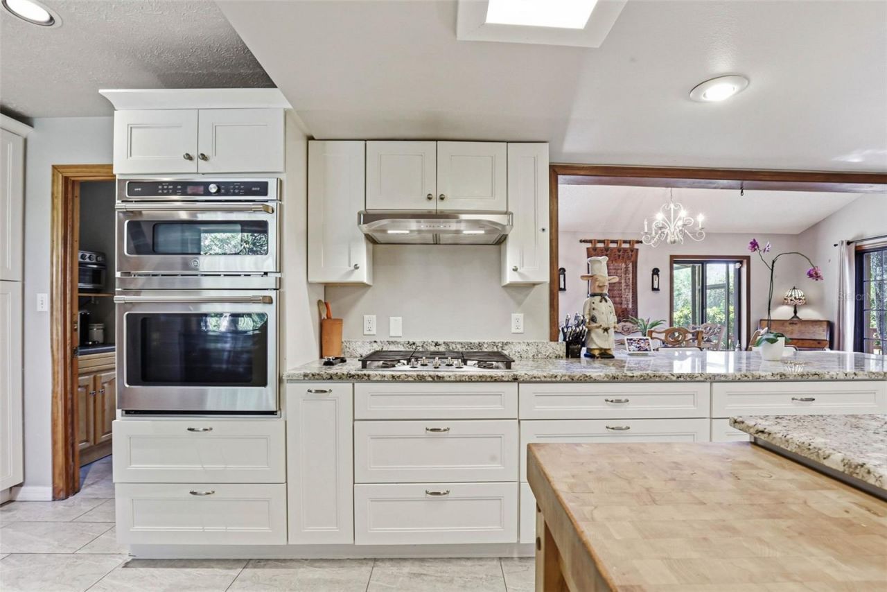 12526 Twin Branch Acres Road, Tampa, FL 33626 Photo