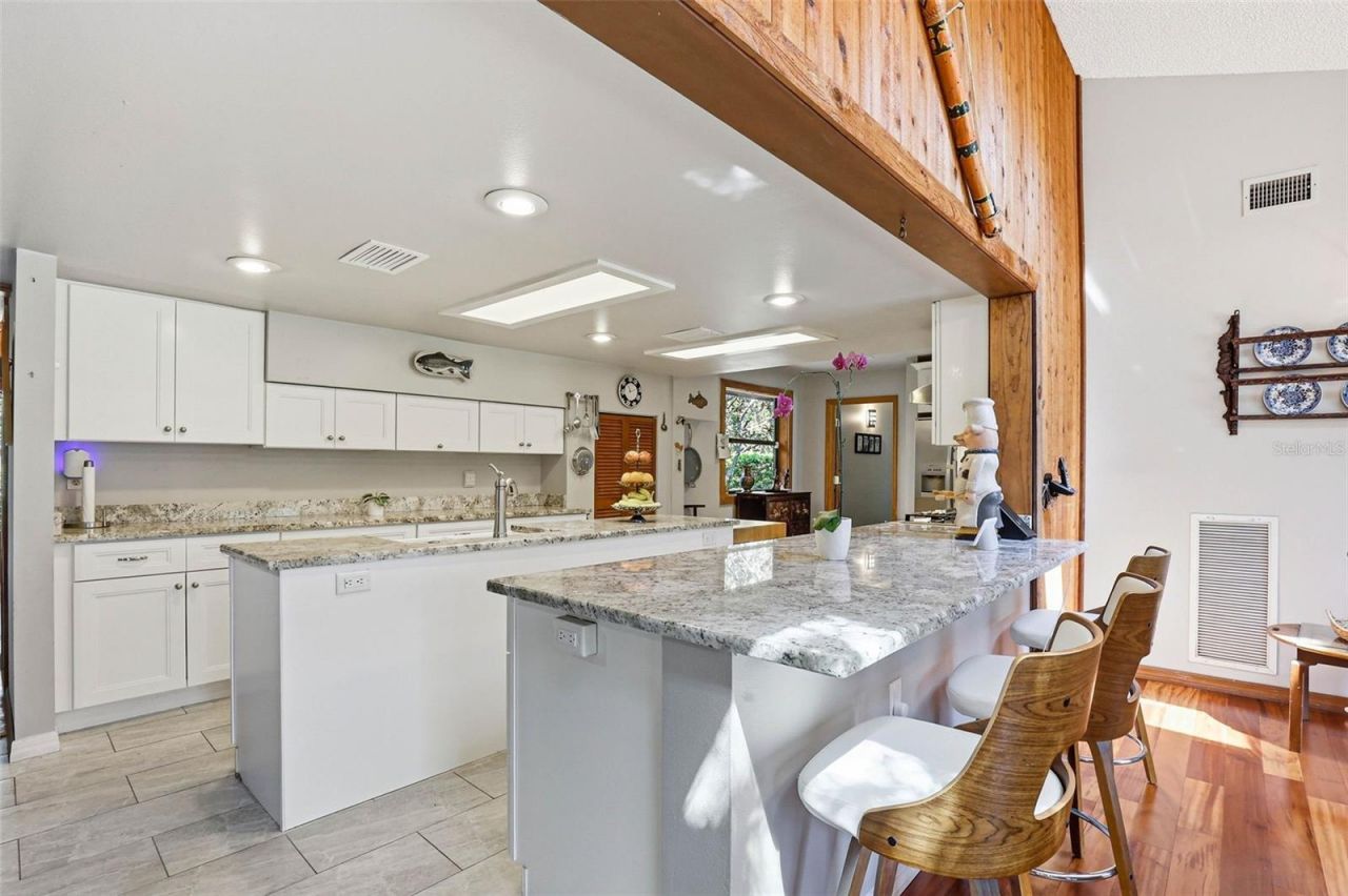 12526 Twin Branch Acres Road, Tampa, FL 33626 Photo