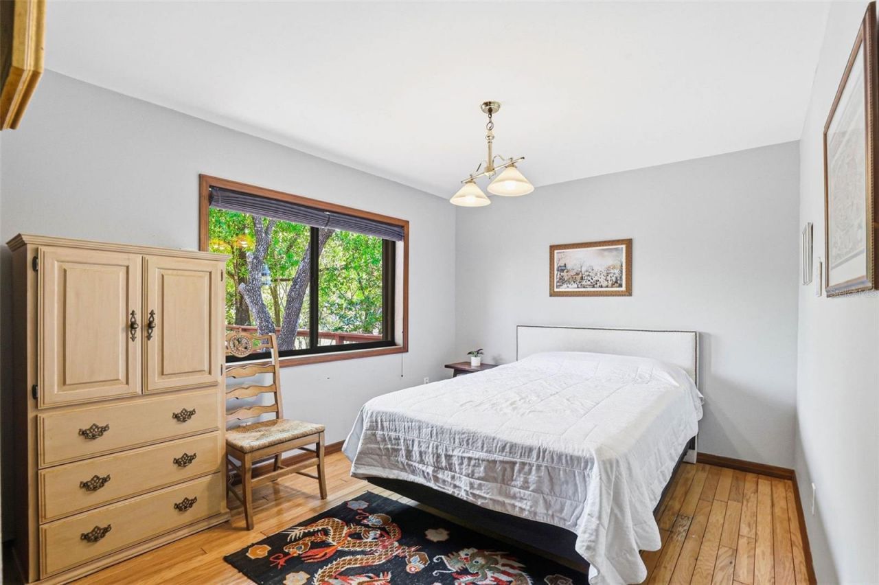 12526 Twin Branch Acres Road, Tampa, FL 33626 Photo