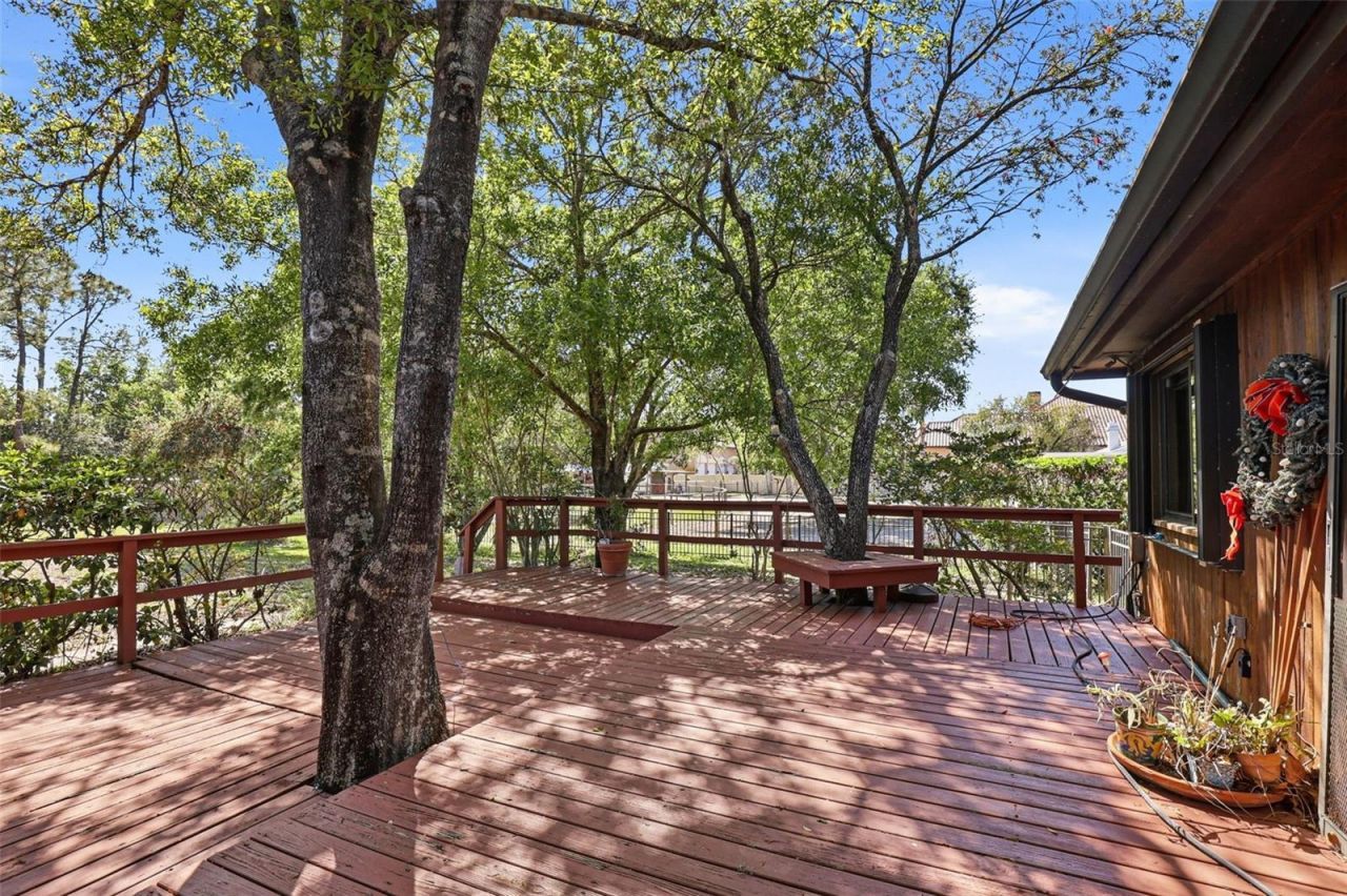 12526 Twin Branch Acres Road, Tampa, FL 33626 Photo