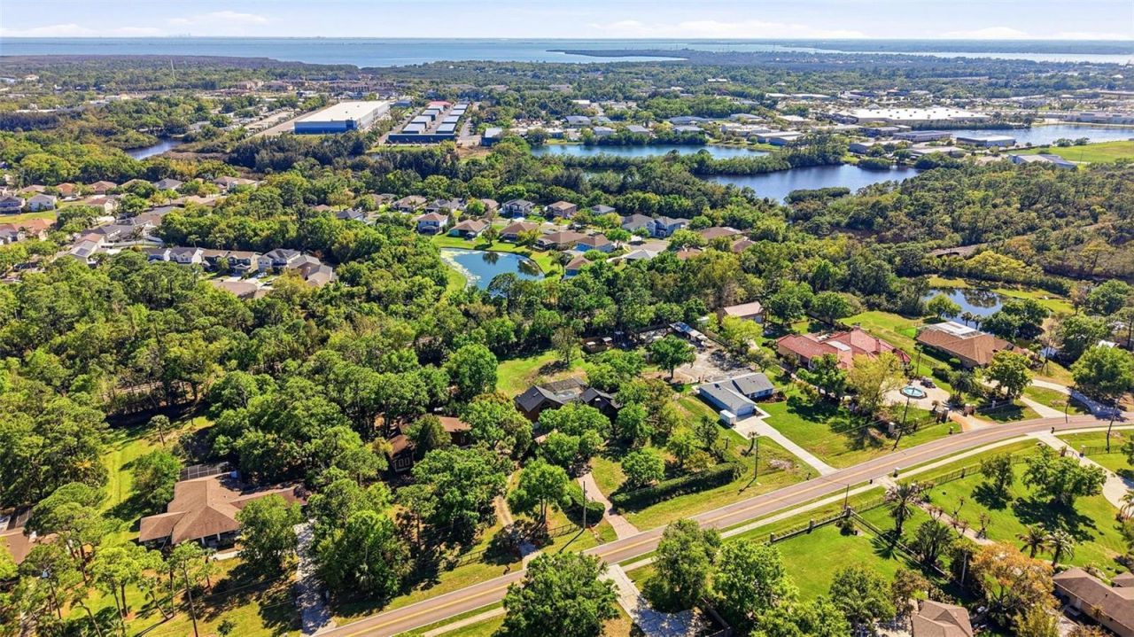 12526 Twin Branch Acres Road, Tampa, FL 33626 Photo