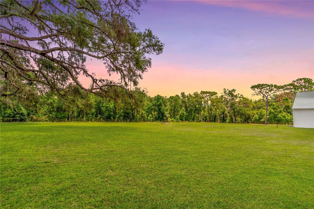 31035 Pasco Road, San Antonio, FL 33576 Photo