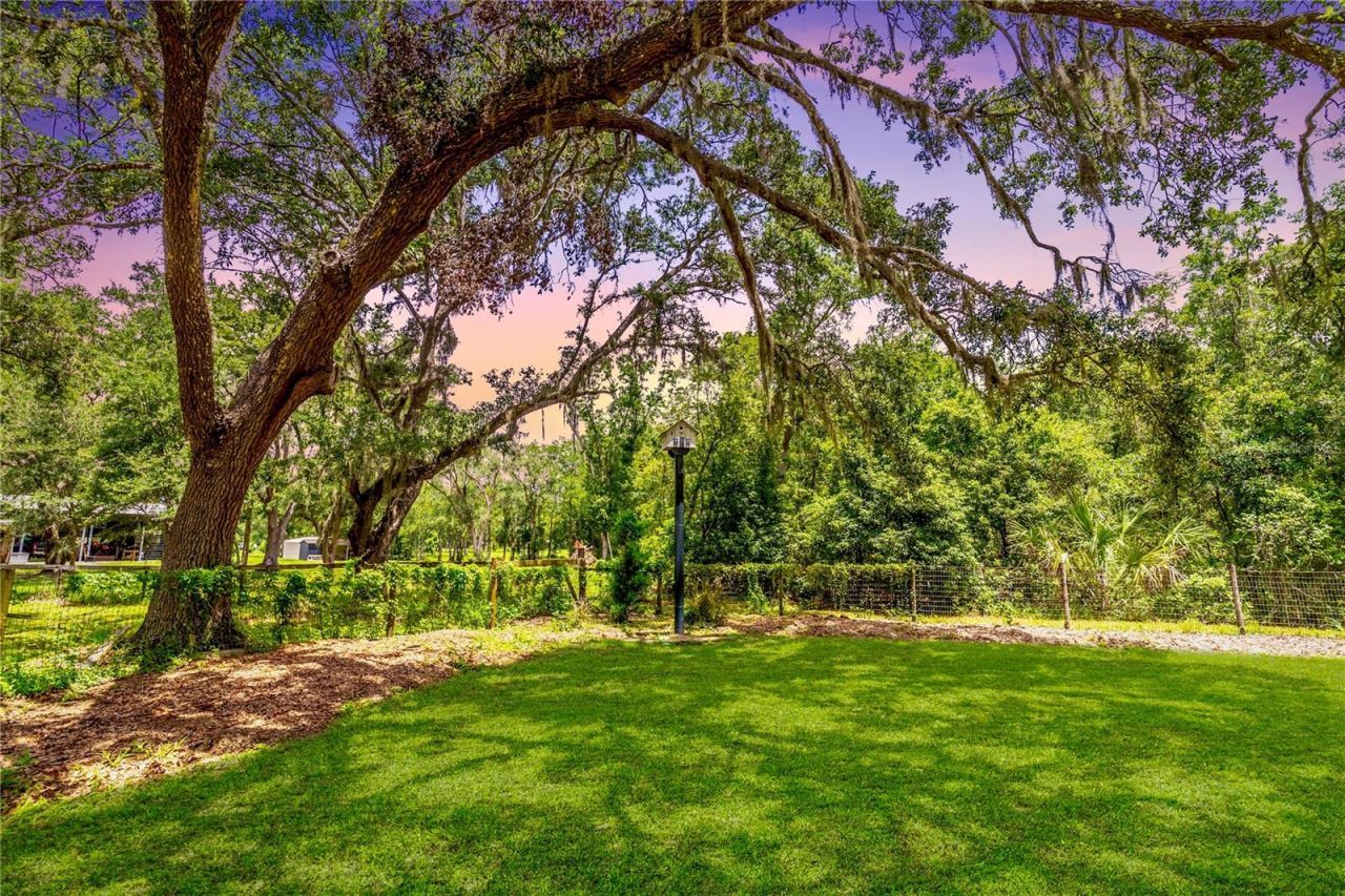 31035 Pasco Road, San Antonio, FL 33576 Photo