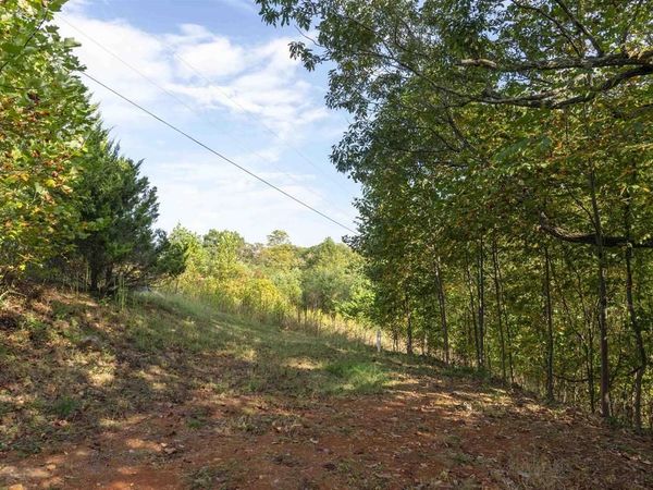 TBD CHERRY GROVE LN, AFTON, VA 22920