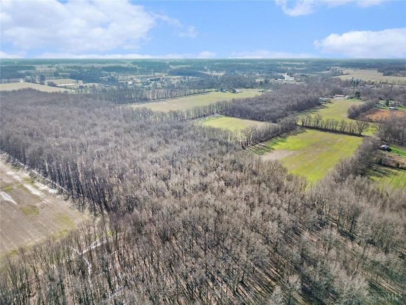 72-Acres Yankeetown, Hamersville, OH 45130 Photo 10