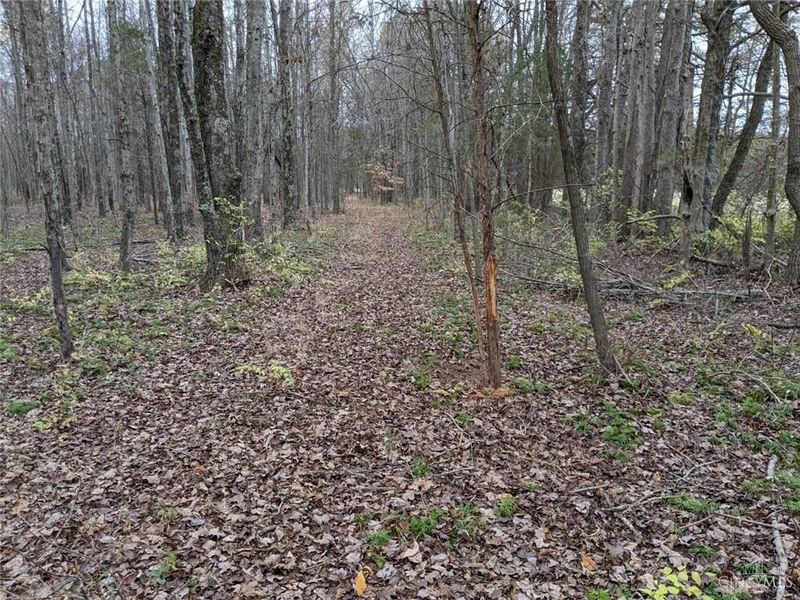 72-Acres Yankeetown, Hamersville, OH 45130 Photo 5