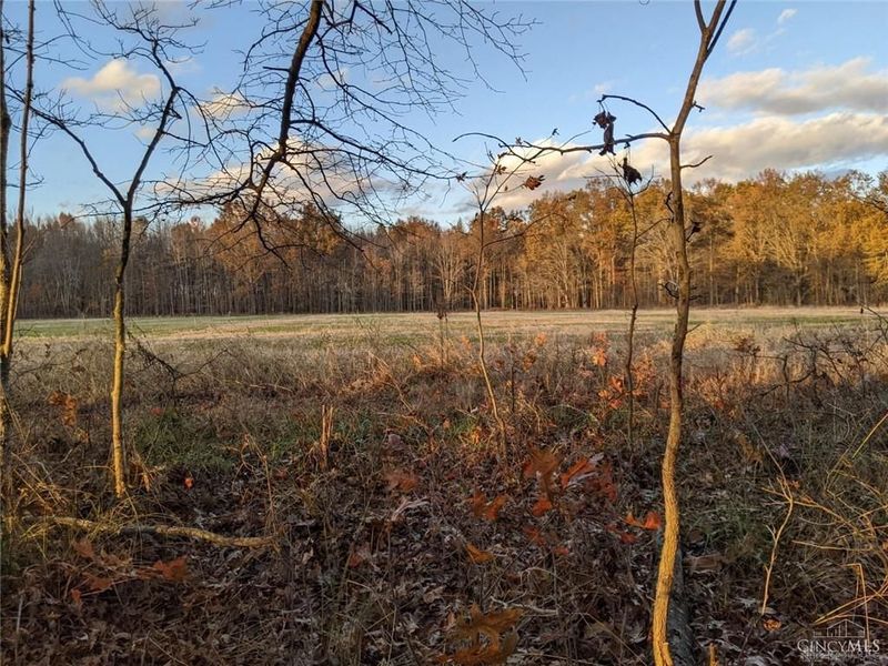 72-Acres Yankeetown, Hamersville, OH 45130 Photo 6