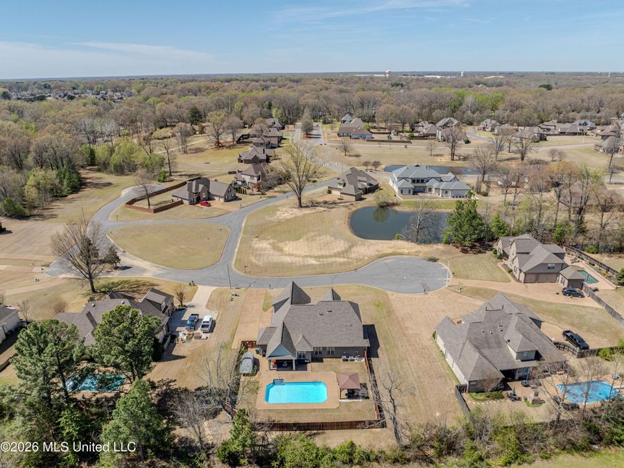 Property Image 61