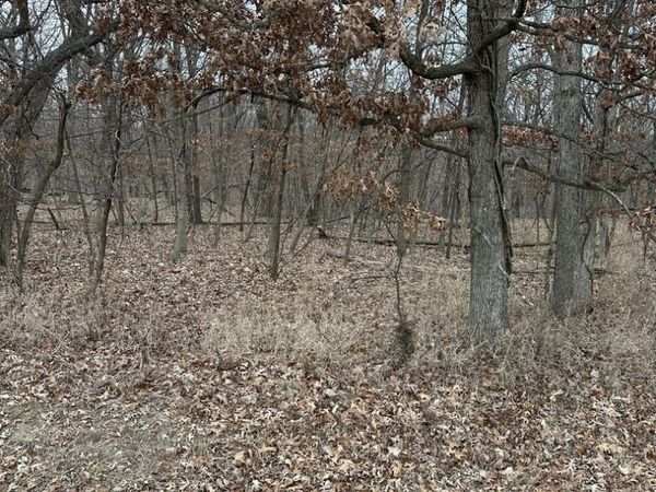 Lot 24 S Eagle Chase Drive , Seneca, IL 61360