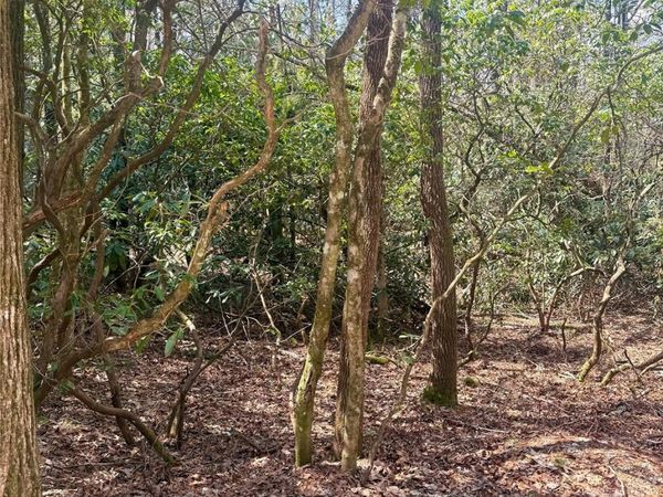 TBD Minerva Lane , Sapphire, NC 28774