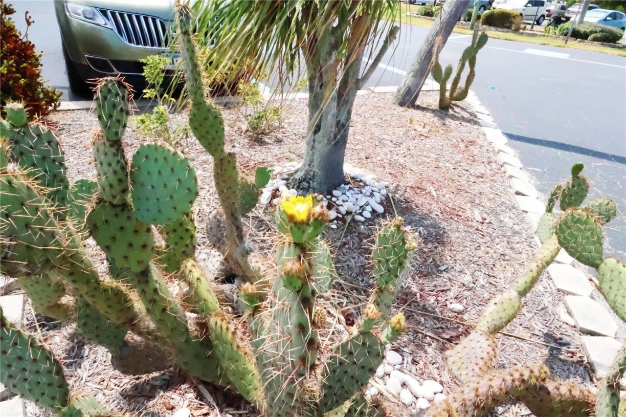 4154 Heron Way , Unit 203B, Bradenton, FL 34205 Photo