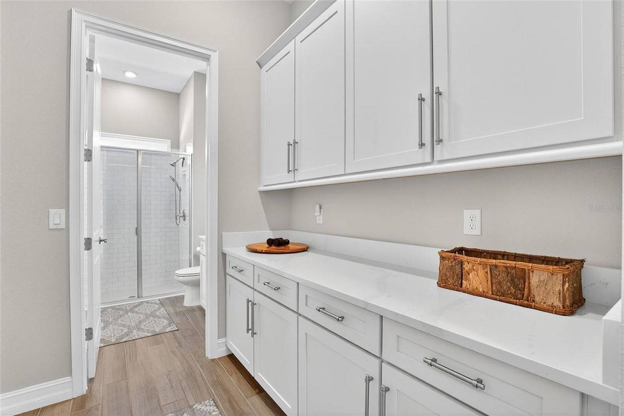 17904 Linden Common Court, Lutz, FL 33559 Photo